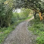 Badgers Retreat - Part Of The The Bay Village With Pool, Gym And Direct Access, Pub, Restaurant, Tennis And Meadows Walks Filey