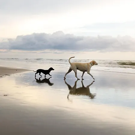 Badgers Retreat - Part Of The The Bay Village With Pool, Gym And Direct Access, Pub, Restaurant, Tennis And Meadows Walks בית נופש *